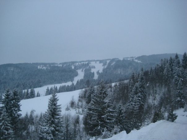 №107, Миша Полянский, Хуст №107, Миша Полянский, Хуст