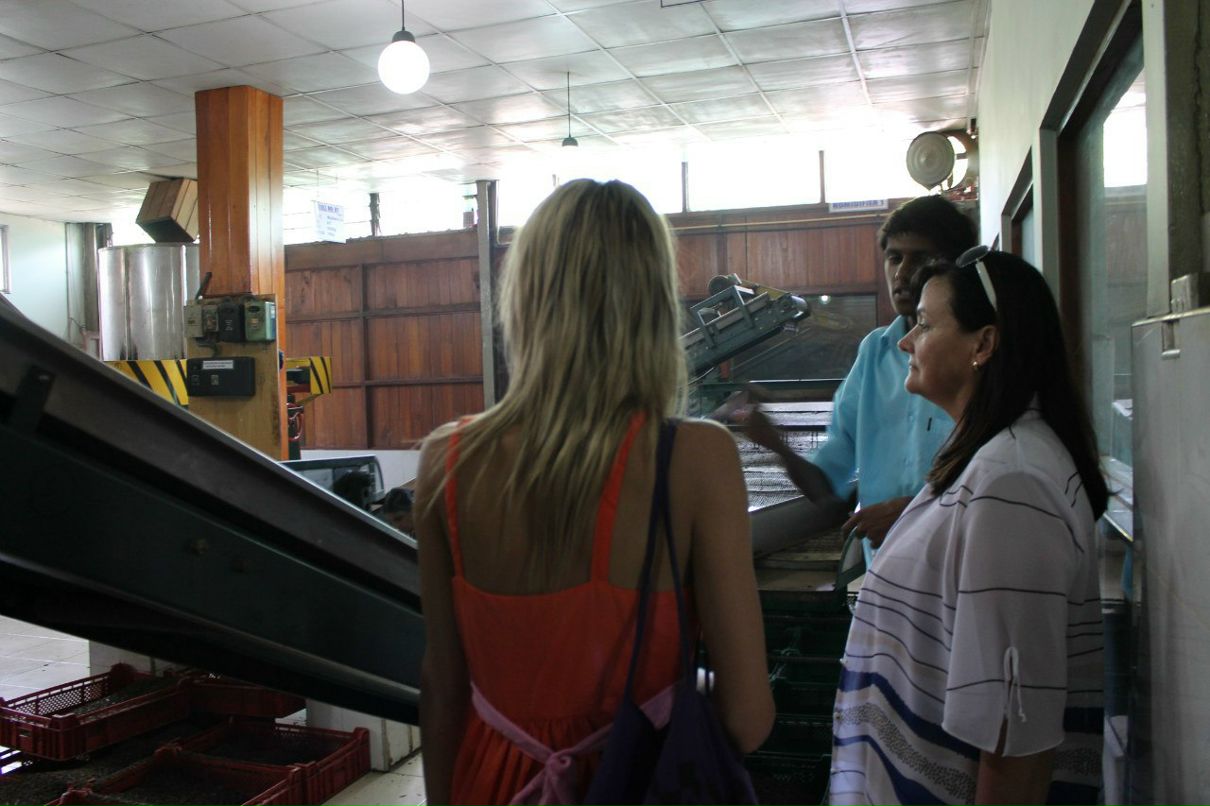 Лина Гавриленко | Санкт-Петербург