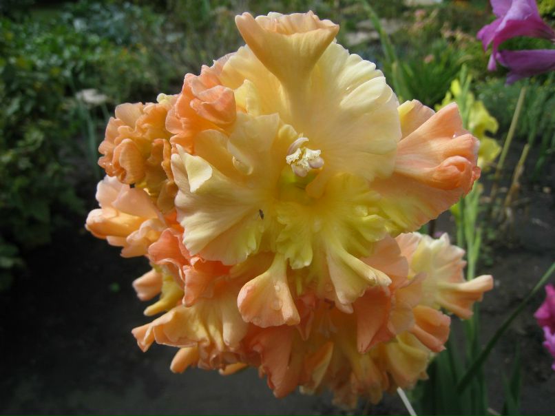 Татьяна Кияшко | Тольятти