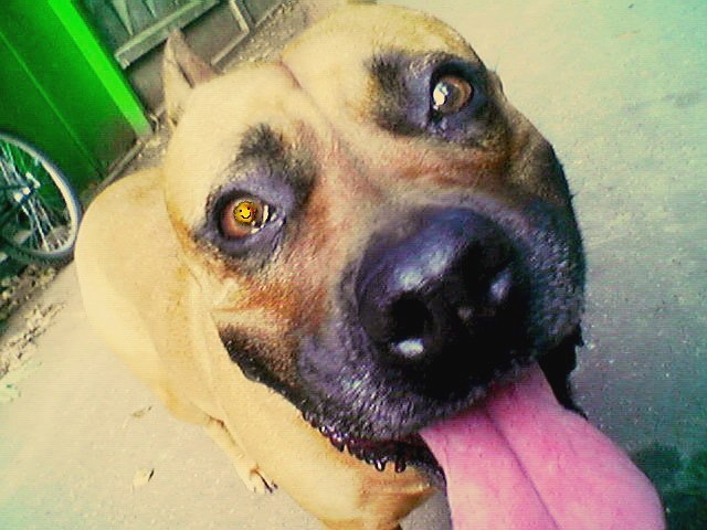 Аркадий Кашицин | Москва