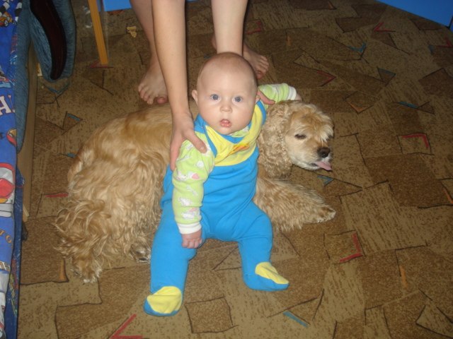 Светлана Шамарина | Апатиты