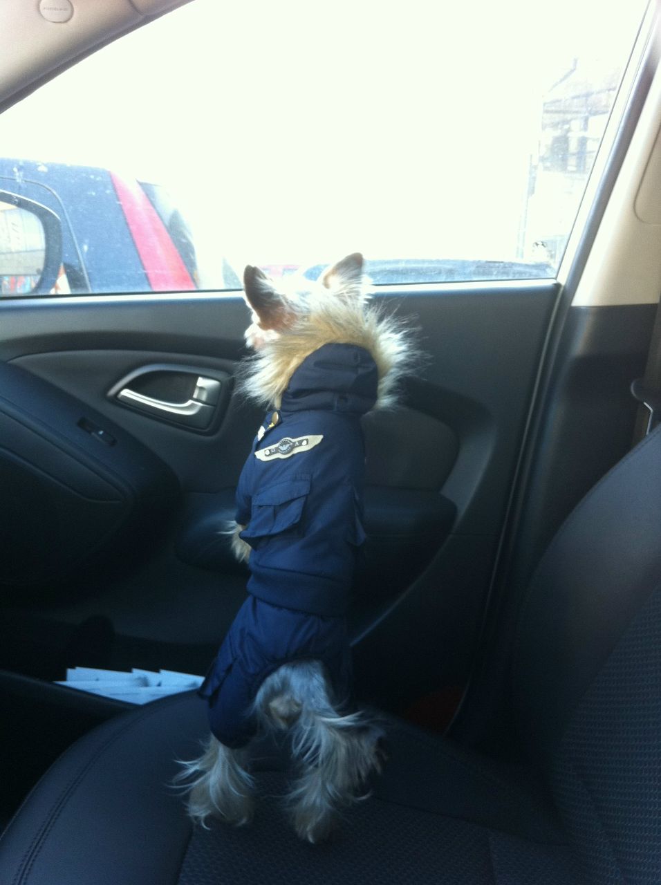 Екатерина Водолазкина the Great | Санкт-Петербург