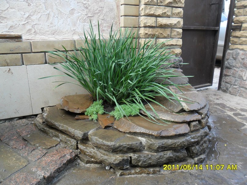 Gena Muts | Кривой Рог