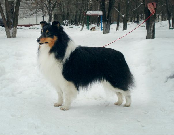 №31, Анна Перебатова, Красноярск №31, Анна Перебатова, Красноярск