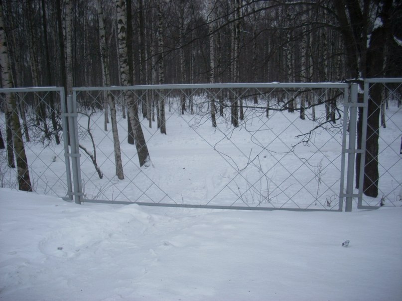 Дмитрий Иванов Витальевич | Плессы