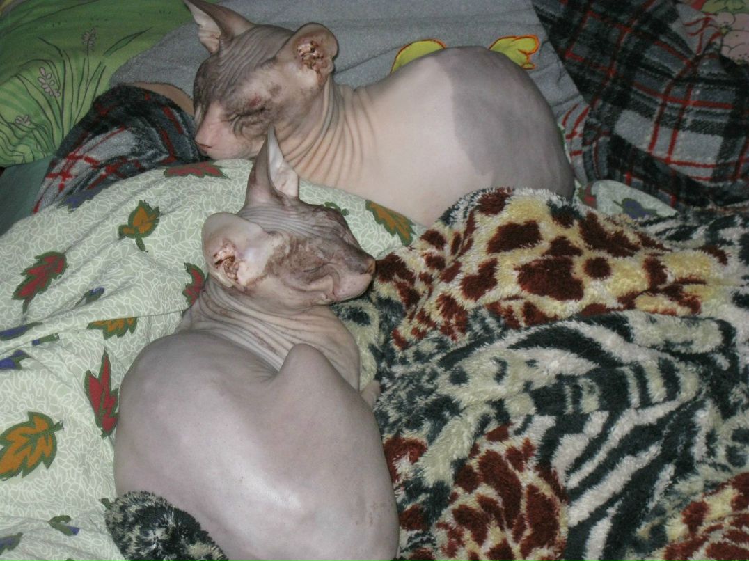 Виктория Слыш | Харьков