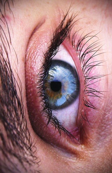 №55, Дима Ашневиц, Санкт-Петербург №55, Дима Ашневиц, Санкт-Петербург