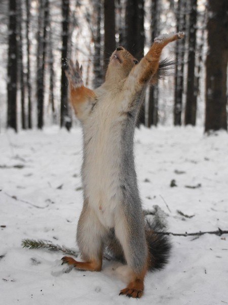 Евгения Авербах Verba | Москва