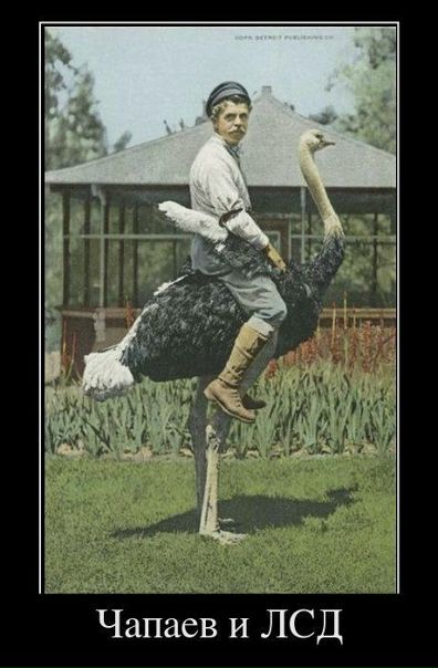 №70, Александр , 41 год, Ош, Кыргызстан №70, Александр , 41 год, Ош, Кыргызстан