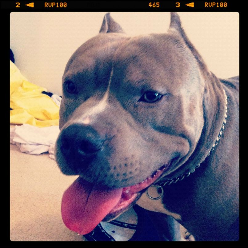 Tanya Dokhotaru | Sydney