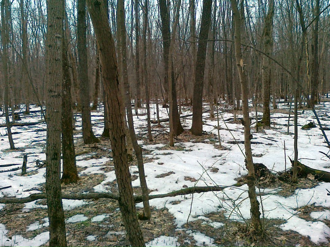 Алексей Снопов Stay True! | Бутурлиновка