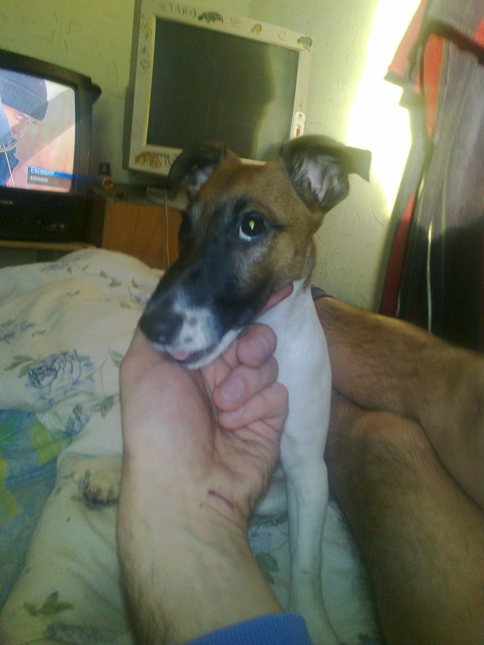 Карен Маркарян | Москва