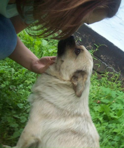 №23, Свєта Врублевська, Liverpool №23, Свєта Врублевська, Liverpool