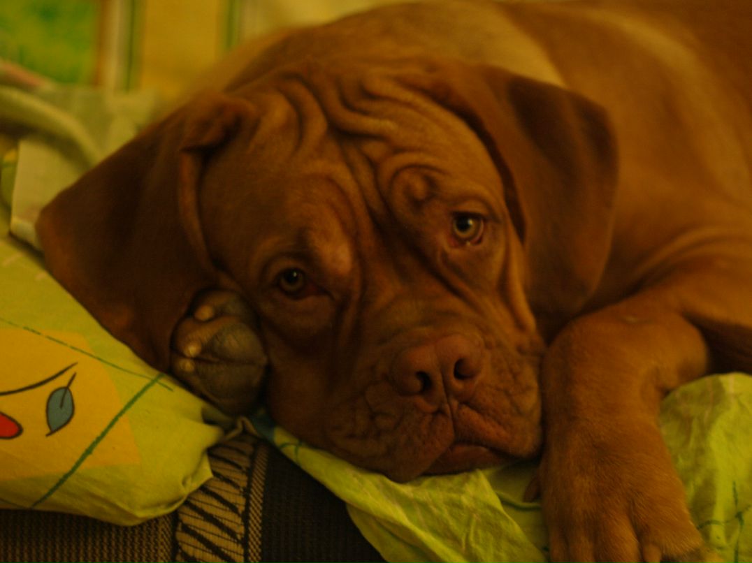 Jorj Dyachek | Одесса