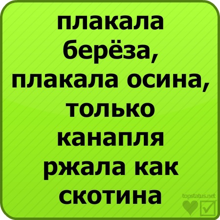 №138, Надюха Колченко, Новокузнецк №138, Надюха Колченко, Новокузнецк