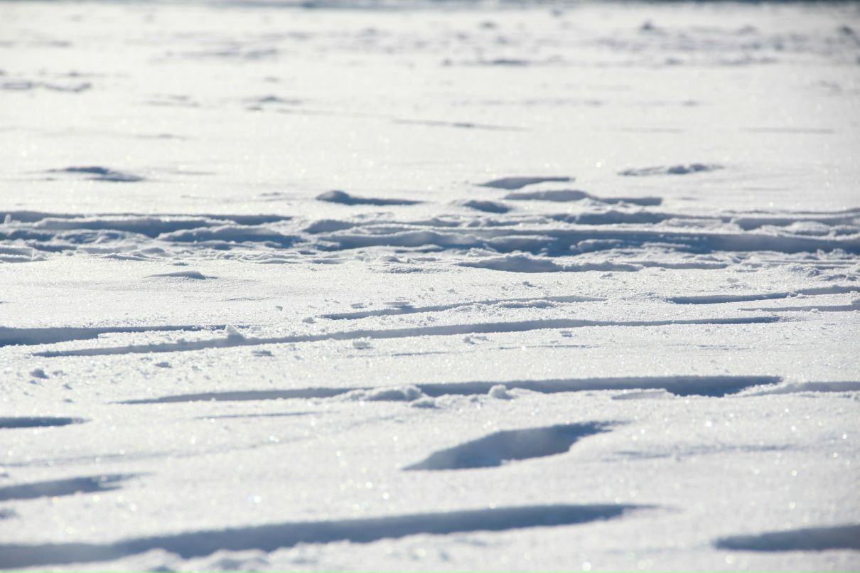 Катерина Анохина | Волжский