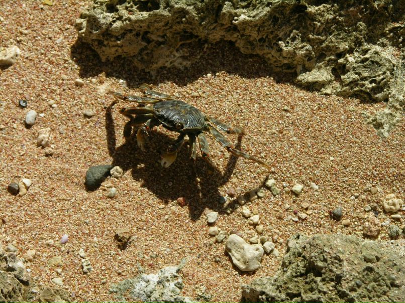 Антон Акимов | Санкт-Петербург