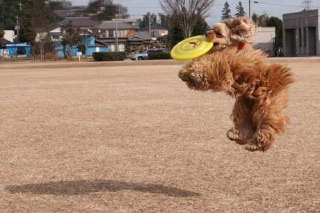 Юрий Буханистый | Киев