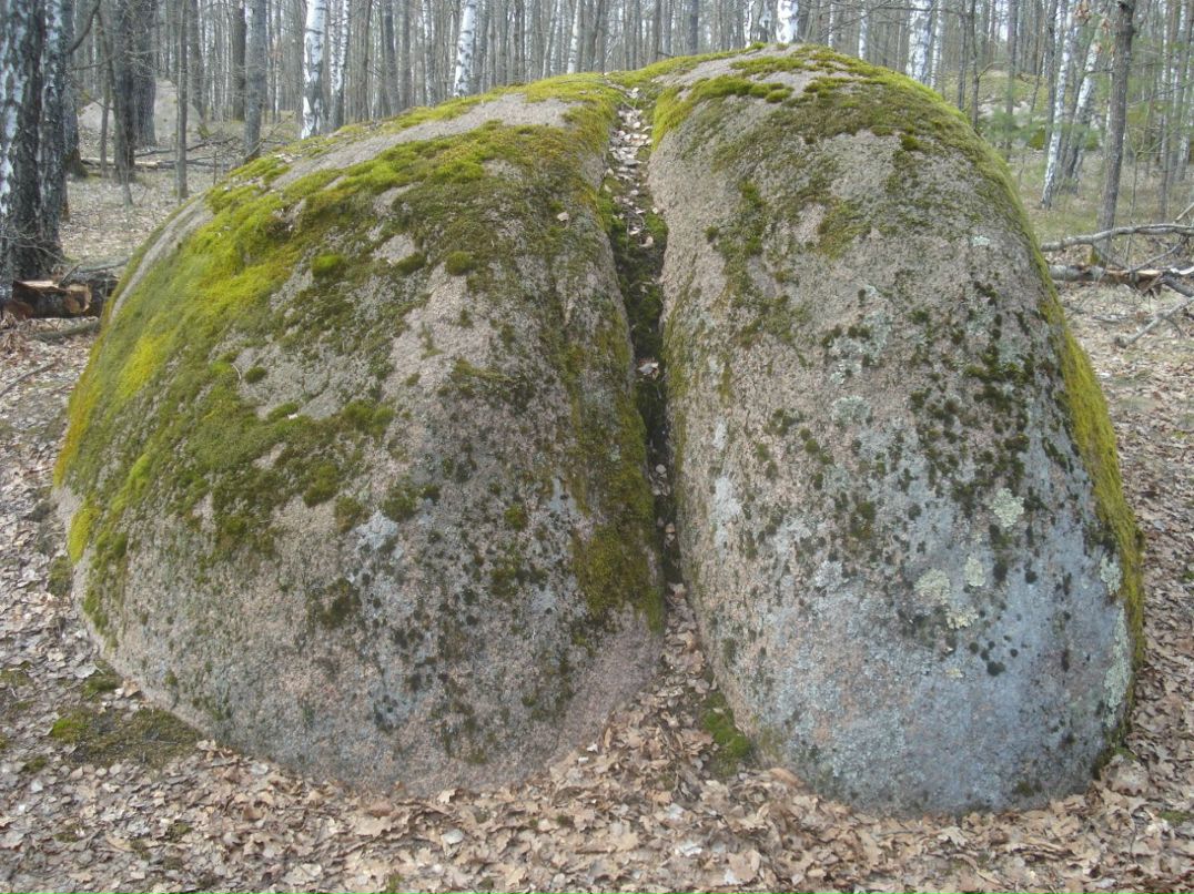 Сергій Гречко Іванович | Олевск