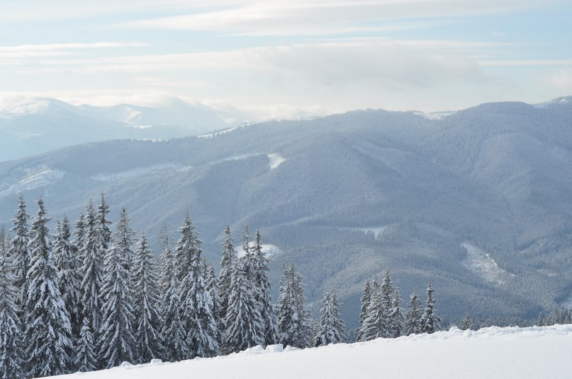 Ян Воскресенский | Киев