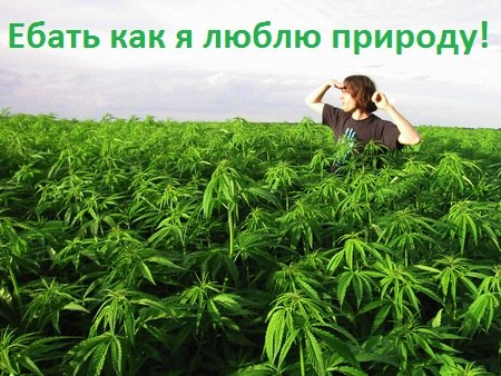 Макс Бигбен GREENPEAS | Тюмень