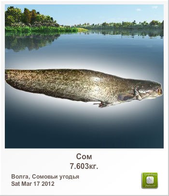 Роман Усатов | Вологда