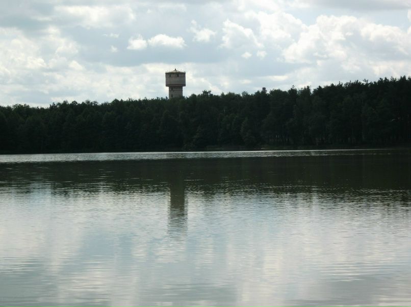 Сергей Паршин ZVEZDEC | Томилино