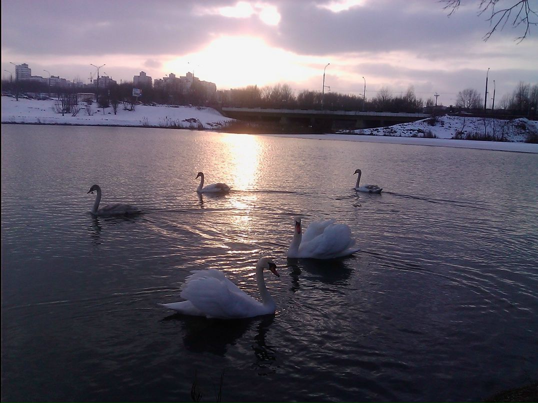 Анастасия Синица | Минск