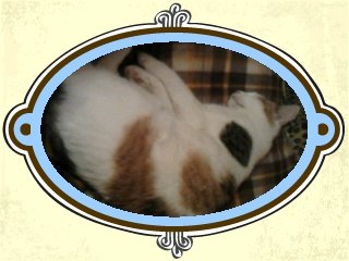 Ольга Авдюнина | Рыбинск