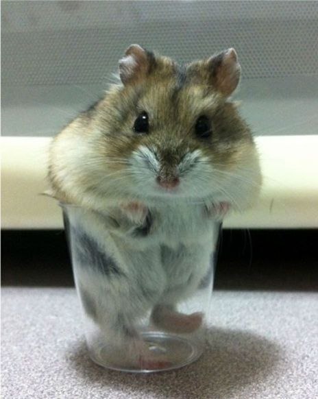 Станислав Михаленков | Москва