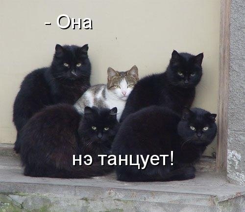 №37, Артур Алиев №37, Артур Алиев