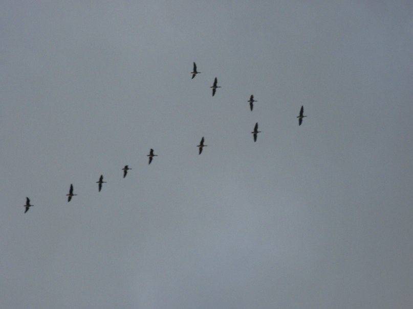 Роман Щелканов | Санкт-Петербург