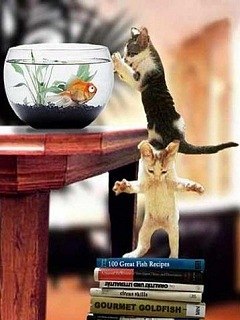 Елена Дудкина | Тула