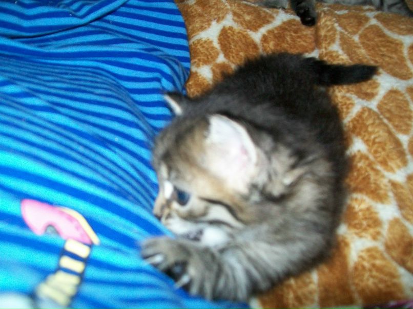 Гульнара Галиева | Уфа