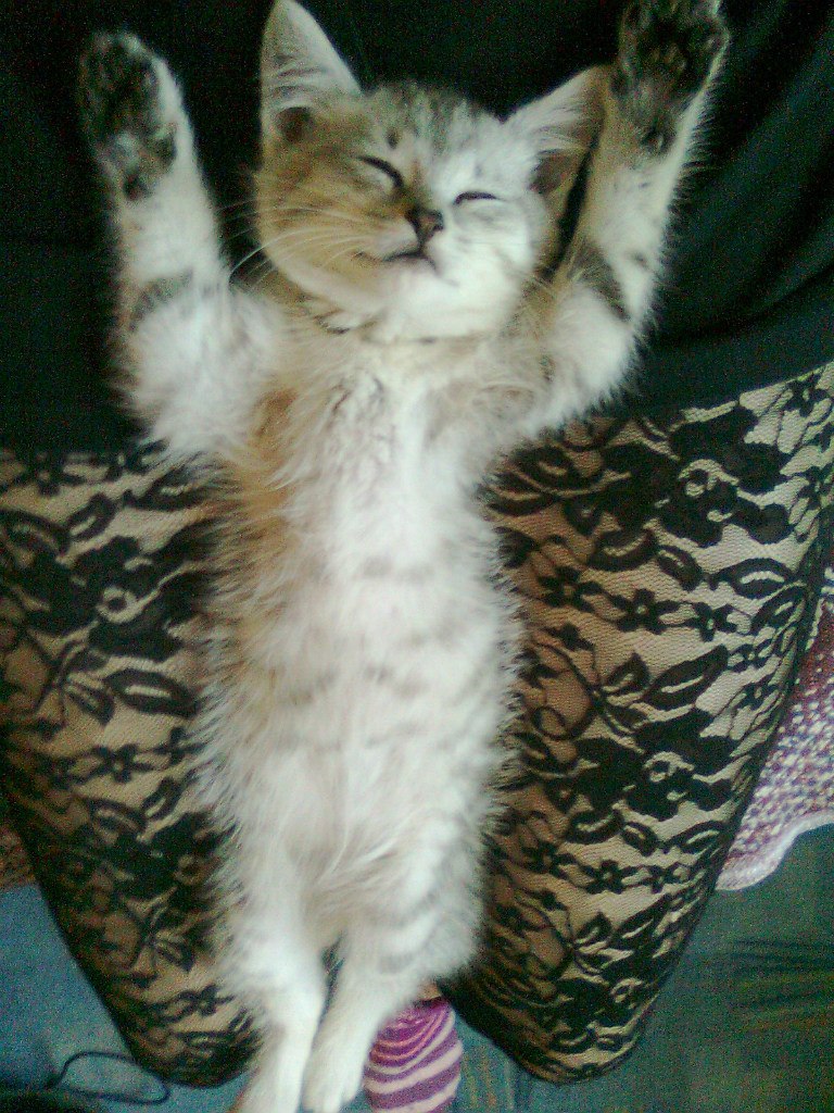 Виктория Победа *Викулька* | Кемерово