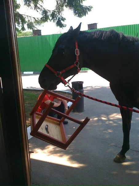 №80, Наталья Ковряженкова, Арзамас №80, Наталья Ковряженкова, Арзамас