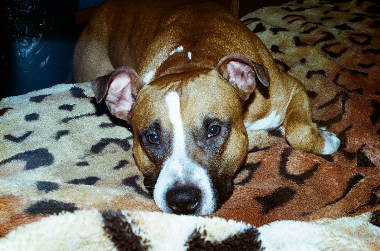 Олег Сердюк | Липецк