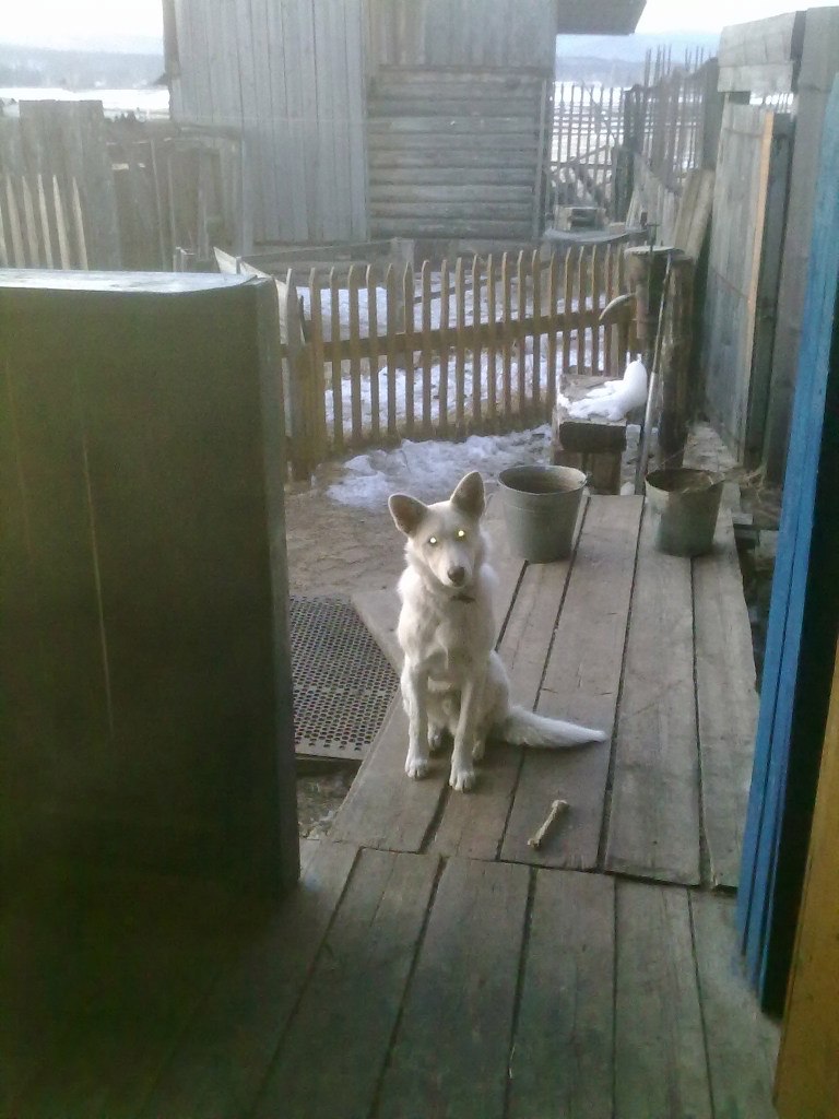 Sodnom-eshi Dorzhiev | Улан-Удэ