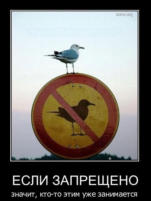 Arxangel Dark | Кириши