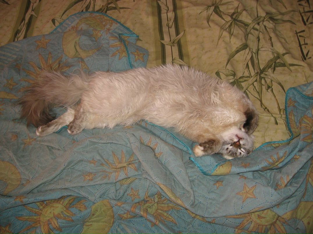 Владимир Чеченев Влад&K | Мценск