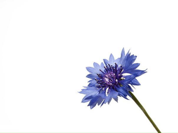 №34, Наталья Домбровская, Харьков №34, Наталья Домбровская, Харьков