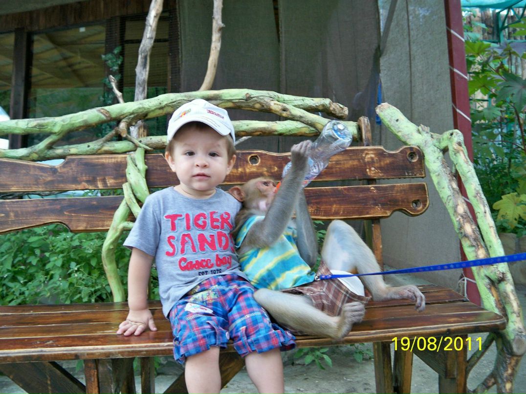 Александр Безгин shusha05 | Краснодар