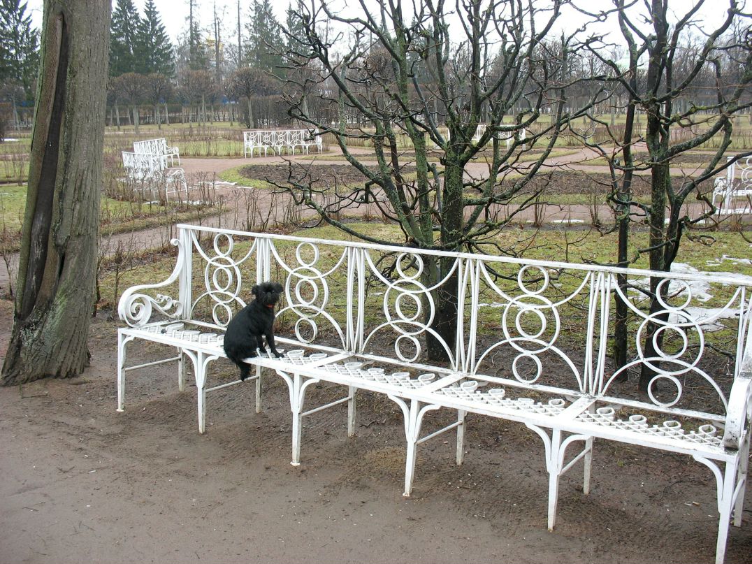 Кристина Зябрева | Санкт-Петербург