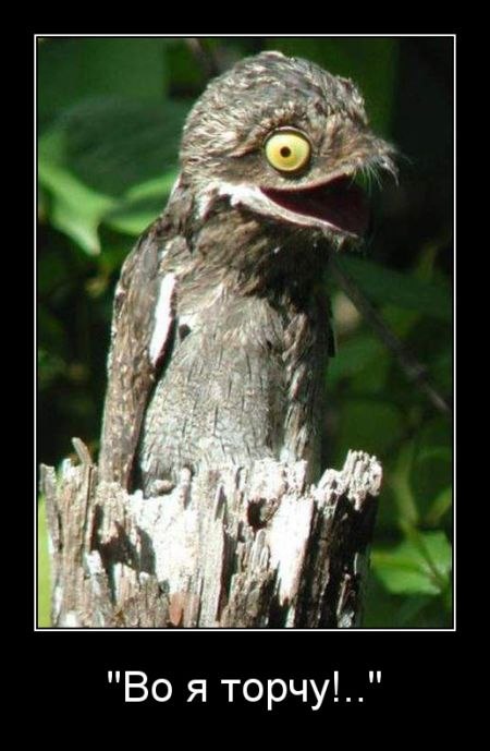 Роман Рыбаков | Саратов