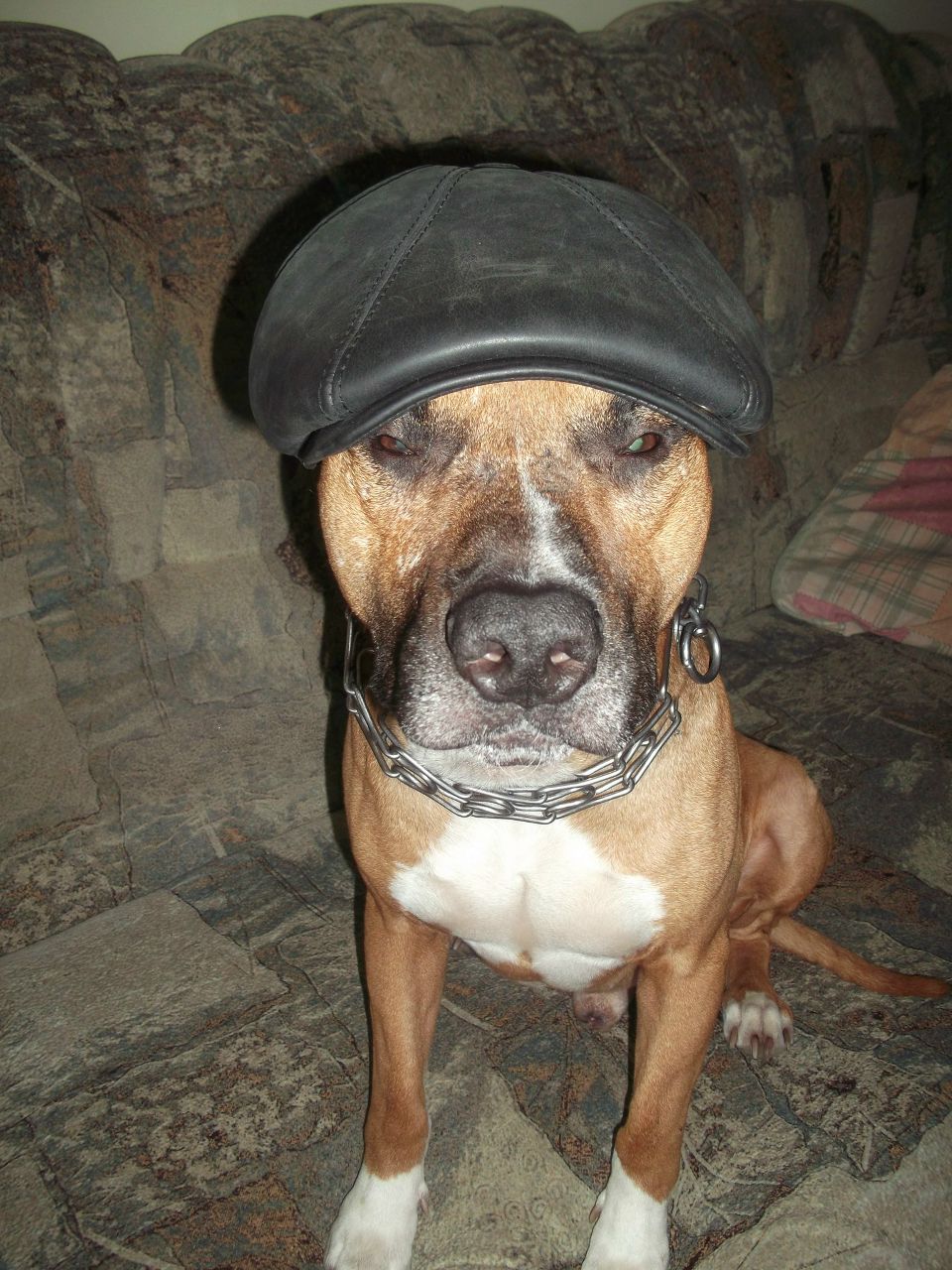 Ігор Романишин ★SiMpSoN★ | Львов