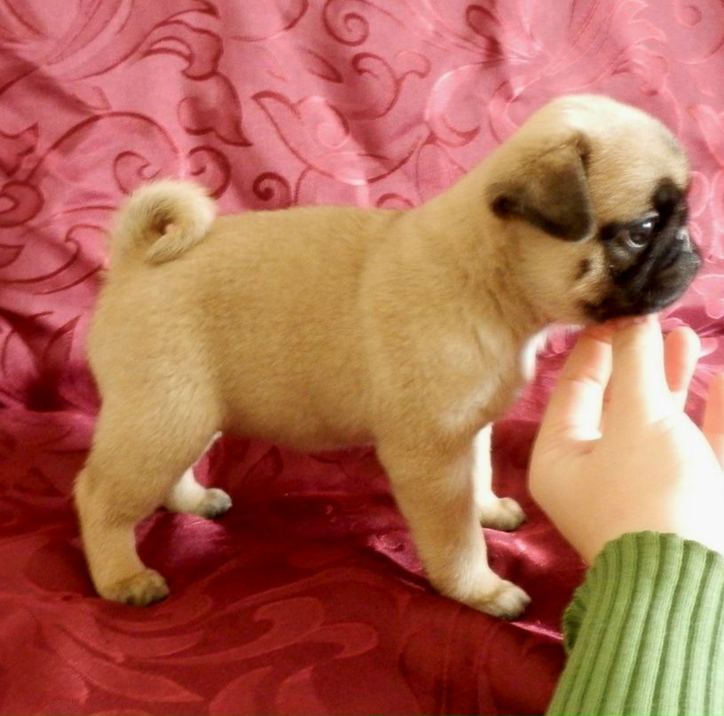 Юлия Донцова _July_ | Москва