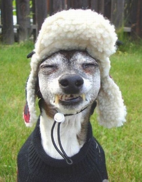 Александр Дороднов | Николаев