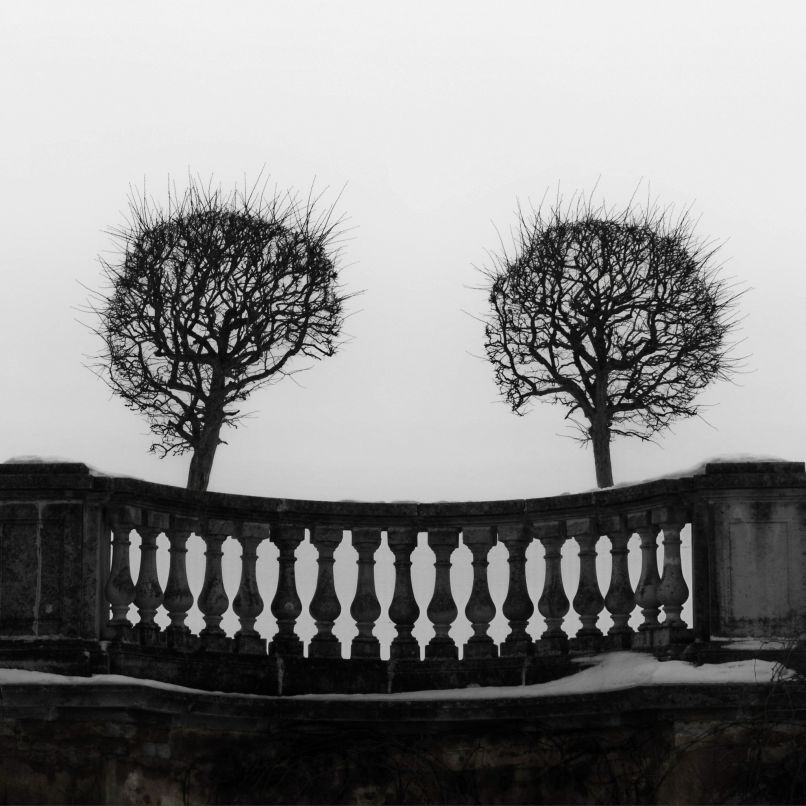 Александр Карасев Сергеевич | Санкт-Петербург