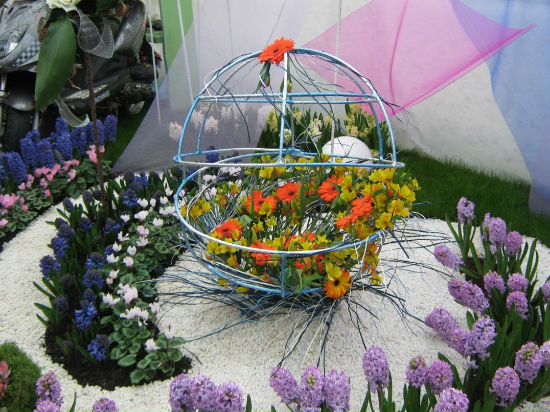 Андрей Михайлов Анатольевич | Ижевск