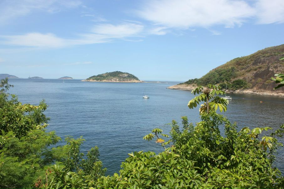 №83, Альбина Т......, Montpellier №83, Альбина Т......, Montpellier